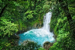 Río Celeste Waterfall in Costa Rica cascades into a vivid blue pool.